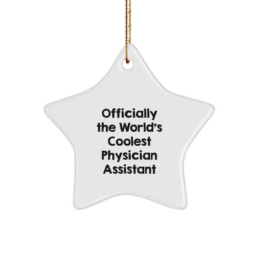 Gifts from Family for the World's Coolest Physician Assistant - Christmas Star Ornament, Physician Assistant Gifts, Funny Quote - The Buy Boom