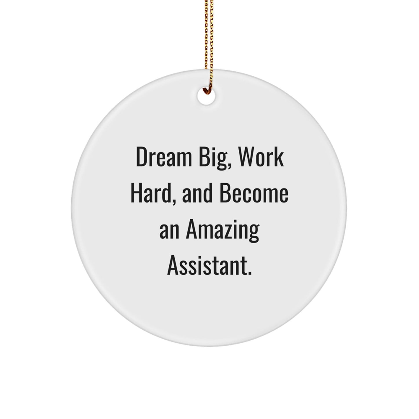 Gifts from Family, Friends, or Coworkers - 'Dream Big, Work Hard, And Become An Amazing Assistant.' Assistant Circle Ornament, Christmas Unique Gifts for Men, Women, or Assistant - The Buy Boom