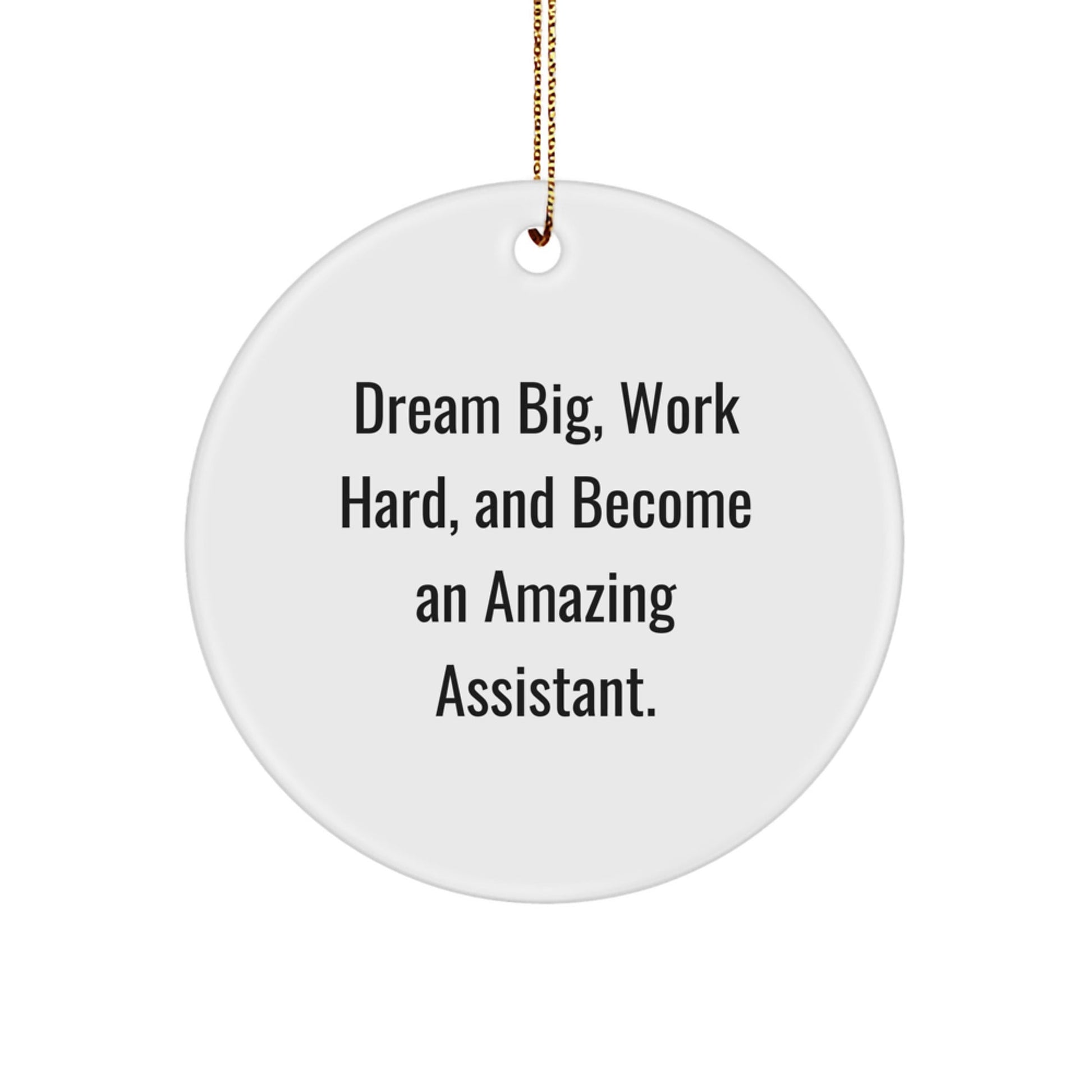 Gifts from Family, Friends, or Coworkers - 'Dream Big, Work Hard, And Become An Amazing Assistant.' Assistant Circle Ornament, Christmas Unique Gifts for Men, Women, or Assistant - The Buy Boom