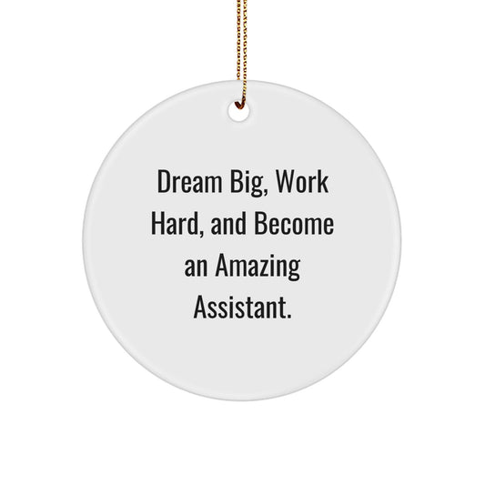 Gifts from Family, Friends, or Coworkers - 'Dream Big, Work Hard, And Become An Amazing Assistant.' Assistant Circle Ornament, Christmas Unique Gifts for Men, Women, or Assistant - The Buy Boom