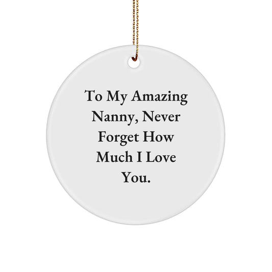 Gifts from Family to My Amazing Nanny, Funny Inspirational Nanny Circle Ornament, To My Amazing Nanny Never Forget How Much I Love You Christmas - The Buy Boom