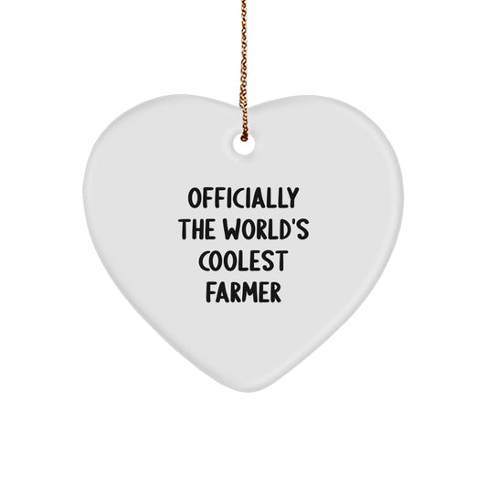 Gifts from Friends and Family for the Officially Funny World's Coolest Farmer Heart Ornament, Christmas Unique Gifts for Farmers Men - The Buy Boom