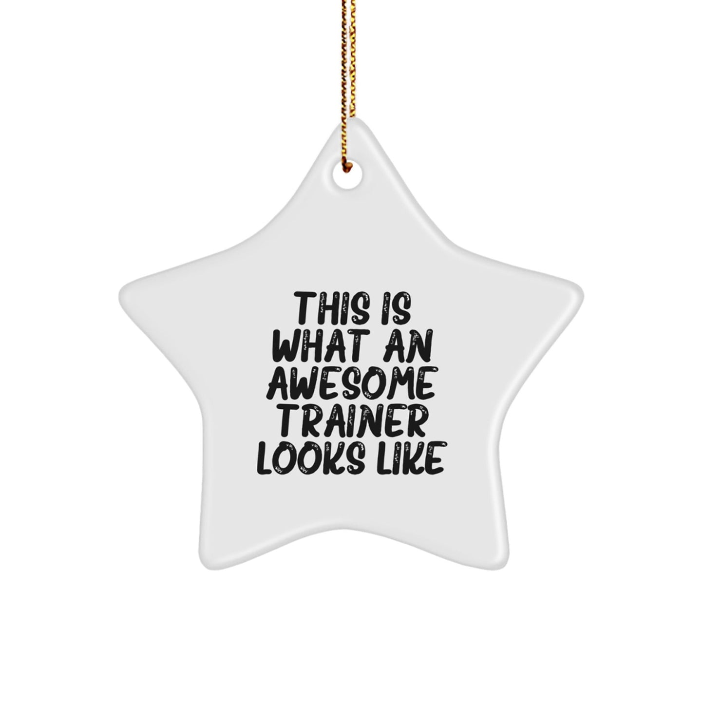 Gifts from Friends, Family, or Coworkers - 'This Is What An Awesome Trainer Looks Like' Star Ornament for Men or Women, Christmas Unique Trainer Gifts - The Buy Boom