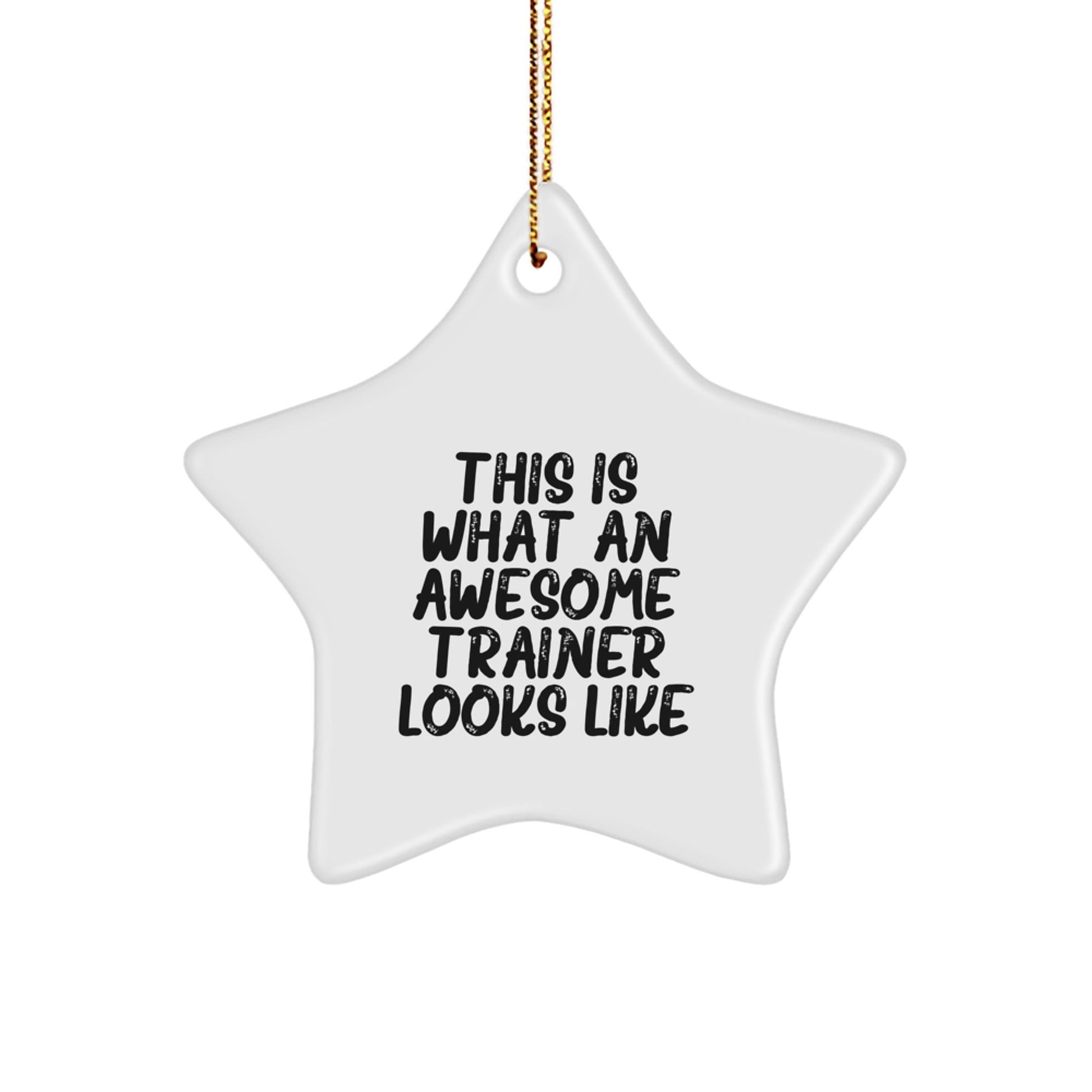 Gifts from Friends, Family, or Coworkers - 'This Is What An Awesome Trainer Looks Like' Star Ornament for Men or Women, Christmas Unique Trainer Gifts - The Buy Boom
