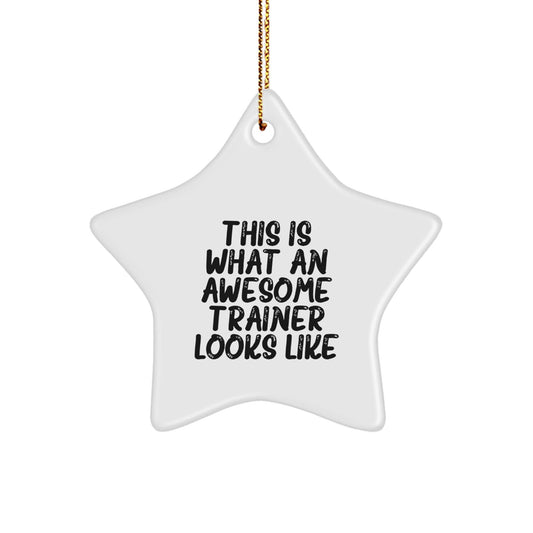 Gifts from Friends, Family, or Coworkers - 'This Is What An Awesome Trainer Looks Like' Star Ornament for Men or Women, Christmas Unique Trainer Gifts - The Buy Boom