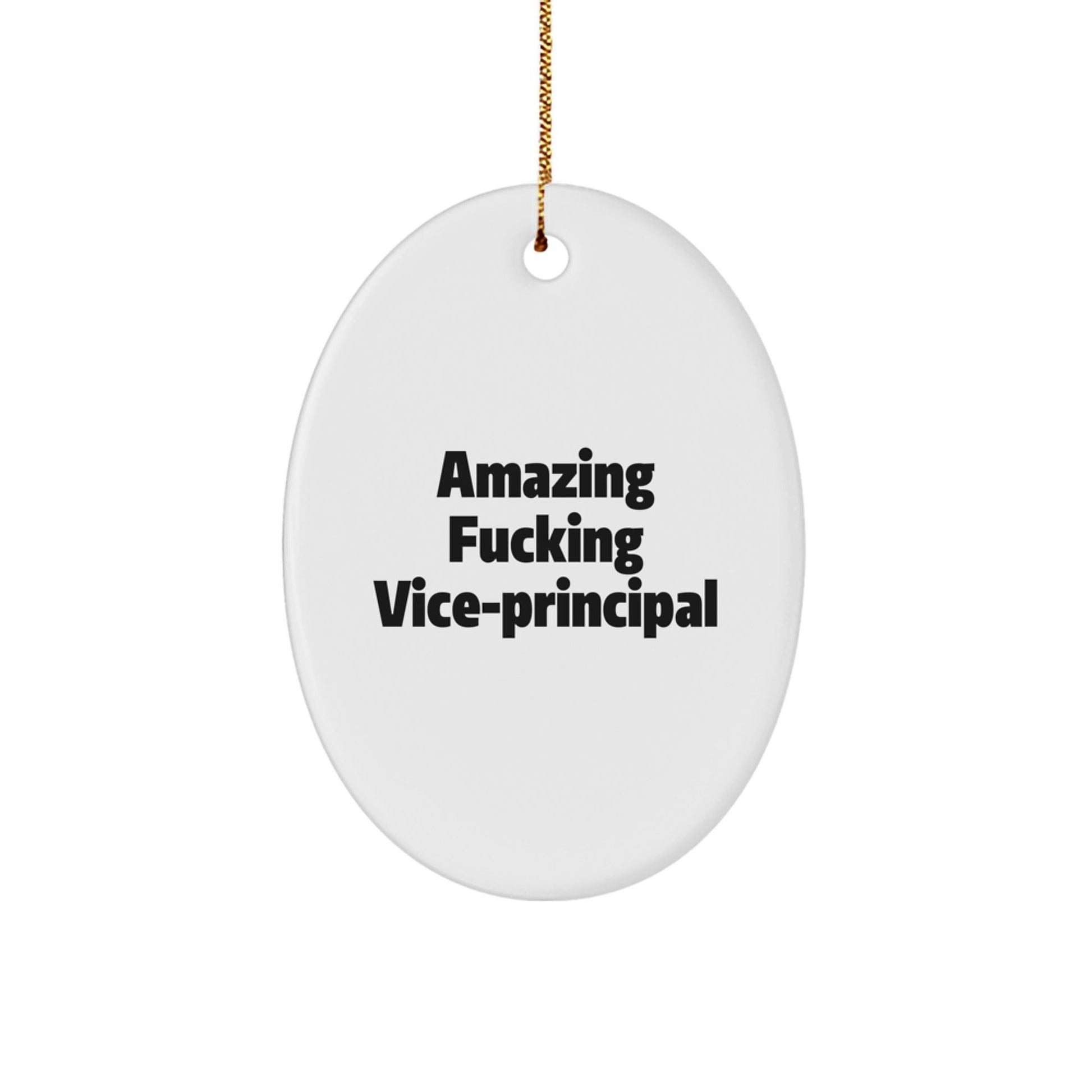 Gifts from Friends for Amazing Vice - principal Christmas Unique Oval Ornament - Funny Vice - principal Quotes - The Buy Boom