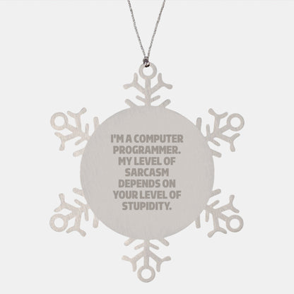 Gifts from Friends for Computer Programmer - Funny Snowflake Ornament, Christmas Unique Gifts, Stainless Steel, Sarcasm Level Gift - The Buy Boom
