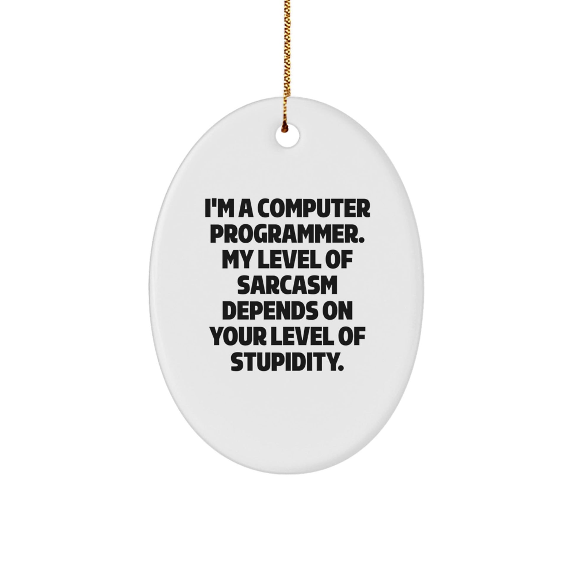 Gifts from Friends for Computer Programmer - Oval Ornament - Funny Sarcasm Quote - Christmas Unique Gift Ideas - The Buy Boom