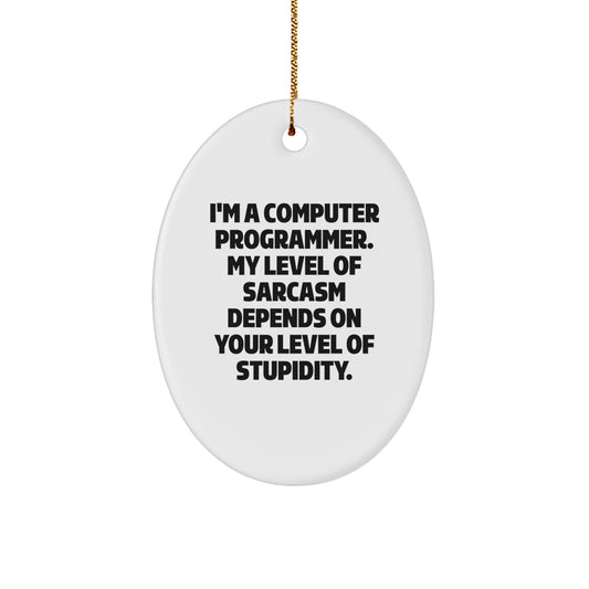 Gifts from Friends for Computer Programmer - Oval Ornament - Funny Sarcasm Quote - Christmas Unique Gift Ideas - The Buy Boom