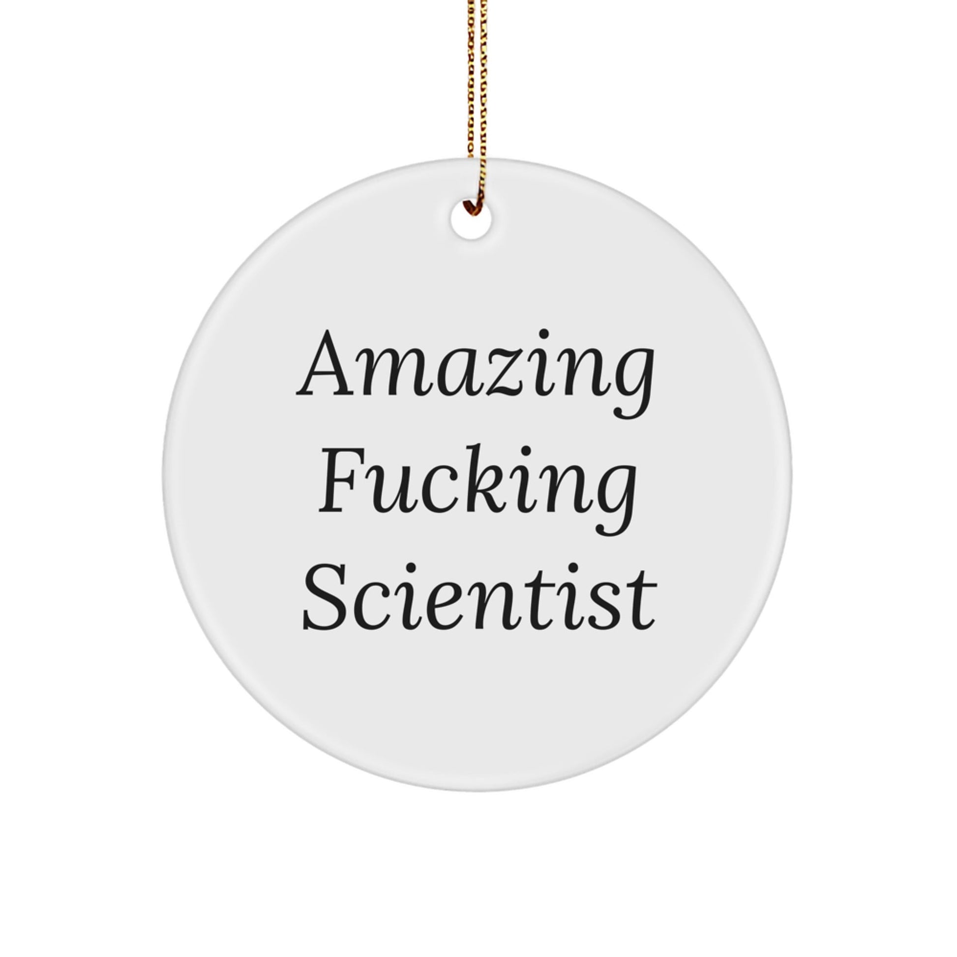 Gifts from Friends for the Amazing Scientist - Inspirational Scientist Circle Ornament for Christmas Unique Gifts - The Buy Boom