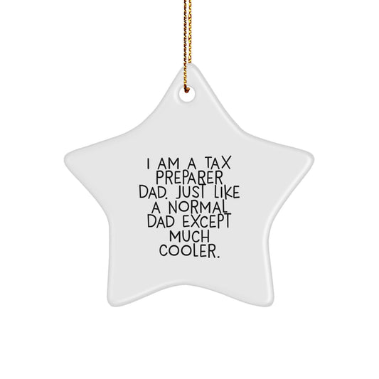 Gifts from Men, 'I Am A Tax Preparer Dad. Just Like A Normal Dad Except Much Cooler.', Funny Tax Preparer Gifts for Christmas Unique Gifts - The Buy Boom