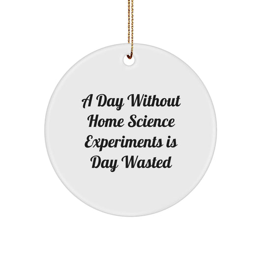 Home Science Experiments Gifts from Family, A Fun Circle Ornament for Home Science Experiments Enthusiasts, 'A Day Without Home Science Experiments Is Day Wasted', Christmas Unique Gifts - The Buy Boom