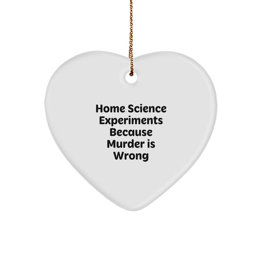 Home Science Experiments Gifts, Funny Heart Ornament 'Murder Is Wrong' for Christmas, Gifts from Family, Friends, or Coworkers - The Buy Boom