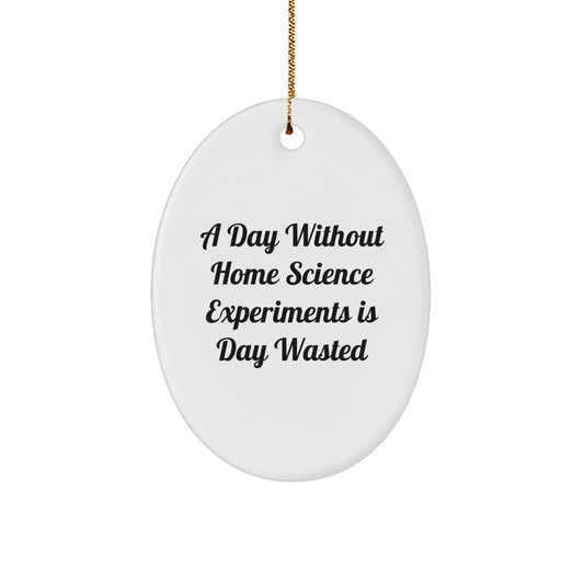 Home Science Experiments Oval Ornament Gifts for Men from Christmas Unique Gifts, Funny Quote 'A Day Without Home Science Experiments Is Day Wasted', Oval Ornament - The Buy Boom