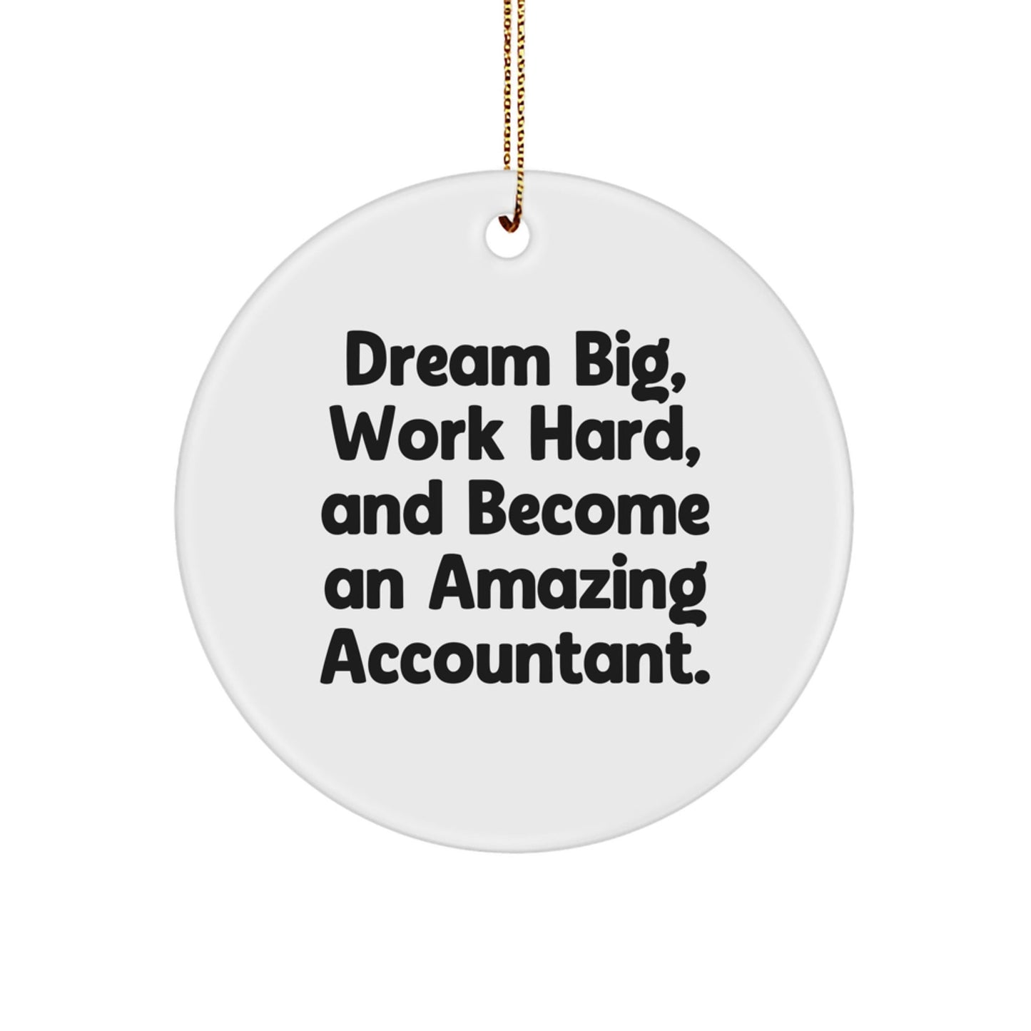 Inspirational Accountant Gifts - 'Dream Big, Work Hard, And Become An Amazing Accountant.' Circle Ornament, Funny Christmas Unique Gifts from Family to Accountant - The Buy Boom