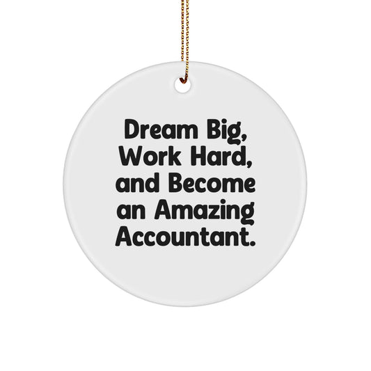 Inspirational Accountant Gifts - 'Dream Big, Work Hard, And Become An Amazing Accountant.' Circle Ornament, Funny Christmas Unique Gifts from Family to Accountant - The Buy Boom