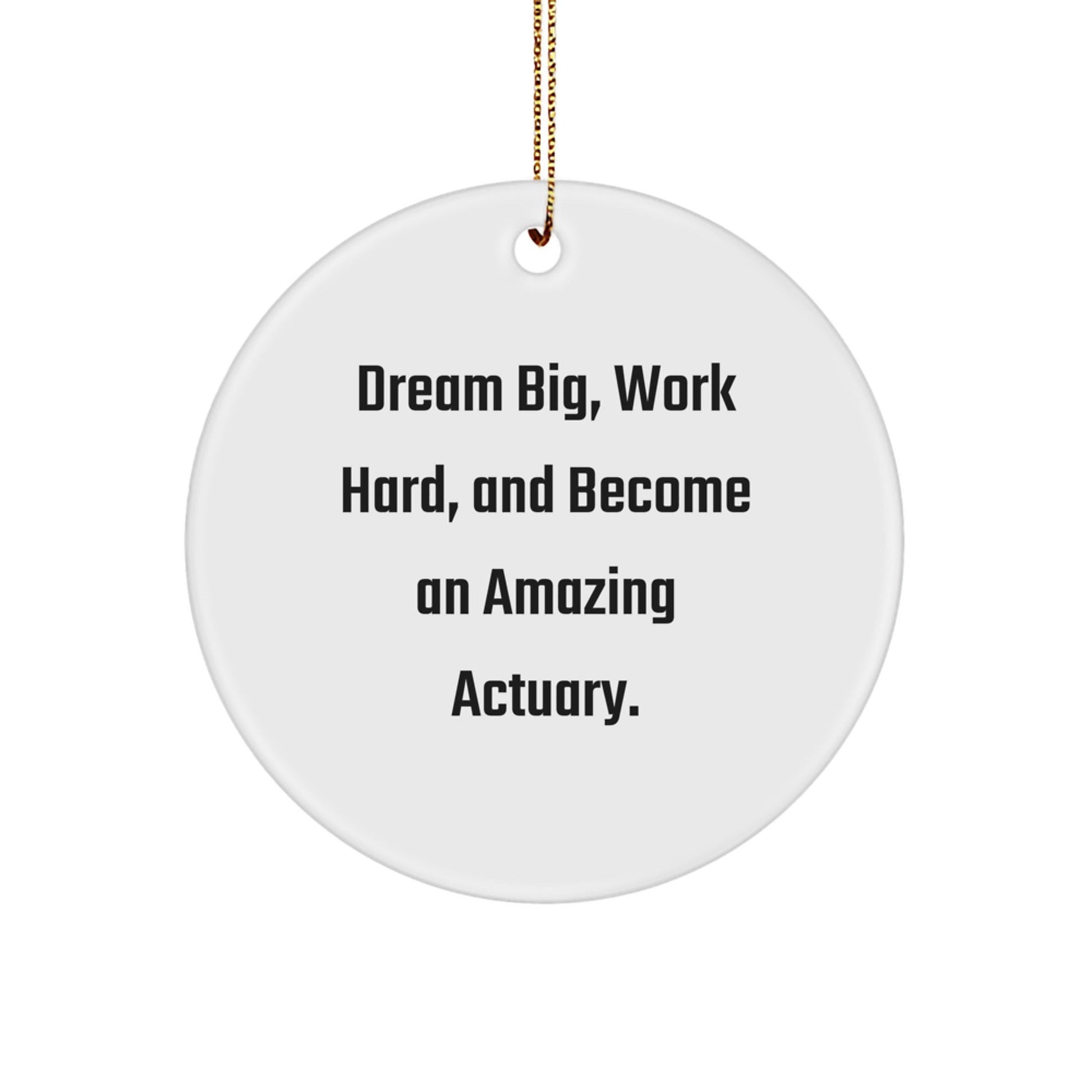 Inspirational Actuary Gifts from Friends, Dream Big, Work Hard, And Become An Amazing Actuary, Unique Christmas Ornament for Actuary Men, Women, Family, Coworkers - The Buy Boom
