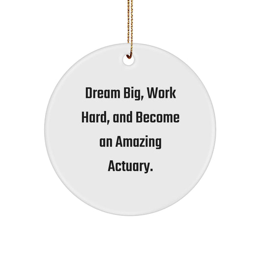 Inspirational Actuary Gifts from Friends, Dream Big, Work Hard, And Become An Amazing Actuary, Unique Christmas Ornament for Actuary Men, Women, Family, Coworkers - The Buy Boom
