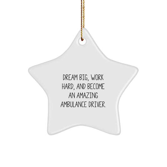 Inspirational Ambulance Driver Gifts from Friends for Ambulance Driver, Ambulance Driver Star Ornament for Christmas Unique Gifts, Dream Big Ambulance Driver Star Ornament - The Buy Boom