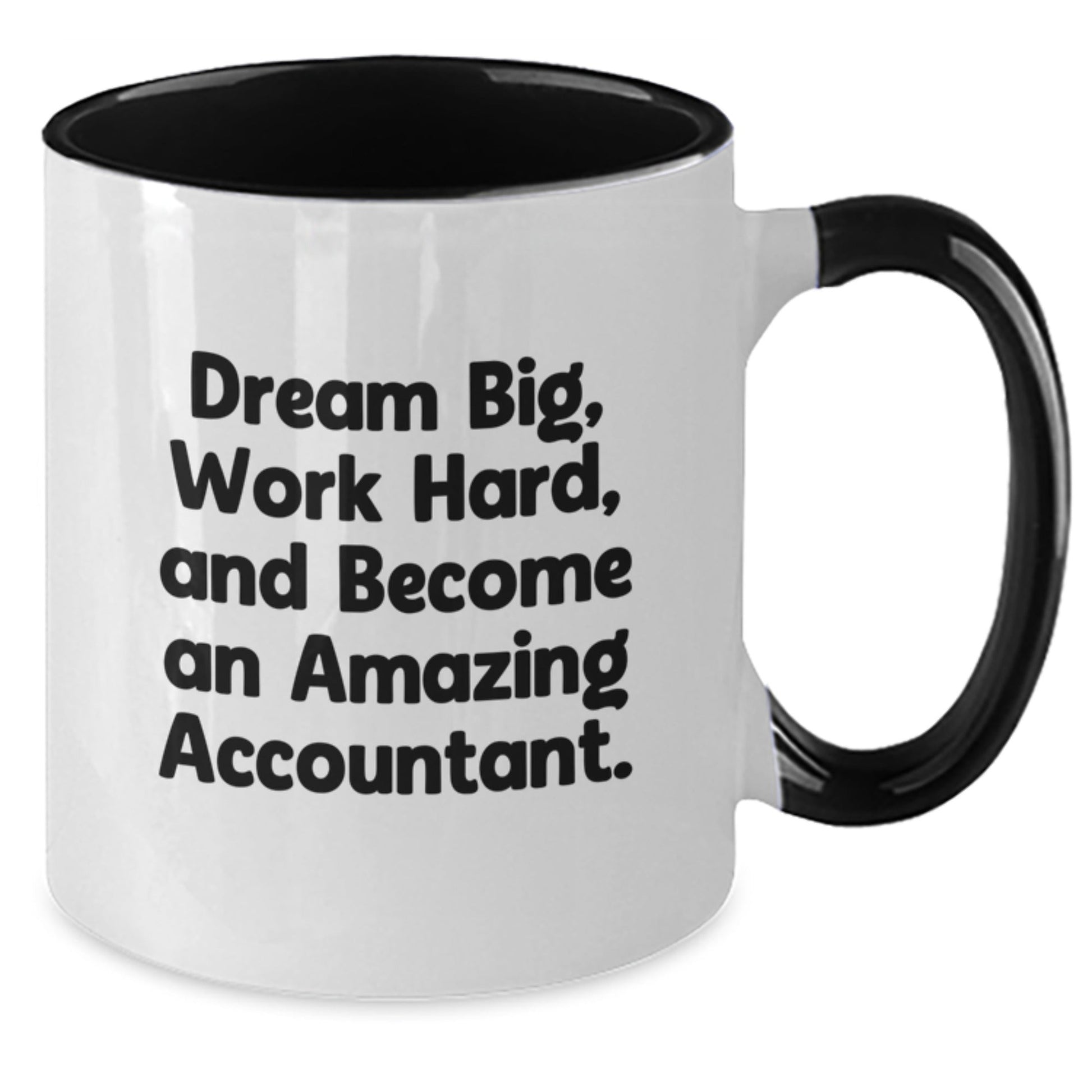 Inspirational Gifts from Friends for Amazing Accountants - Dream Big Work Hard Two Tone Coffee Mugs for Christmas Unique Presents - The Buy Boom