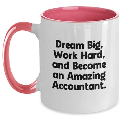 Inspirational Gifts from Friends for Amazing Accountants - Dream Big Work Hard Two Tone Coffee Mugs for Christmas Unique Presents - The Buy Boom