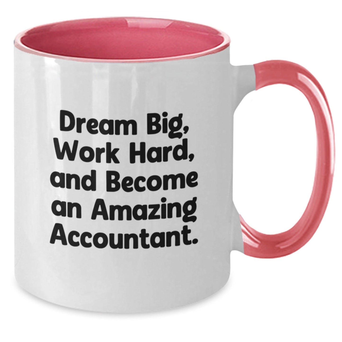 Inspirational Gifts from Friends for Amazing Accountants - Dream Big Work Hard Two Tone Coffee Mugs for Christmas Unique Presents - The Buy Boom