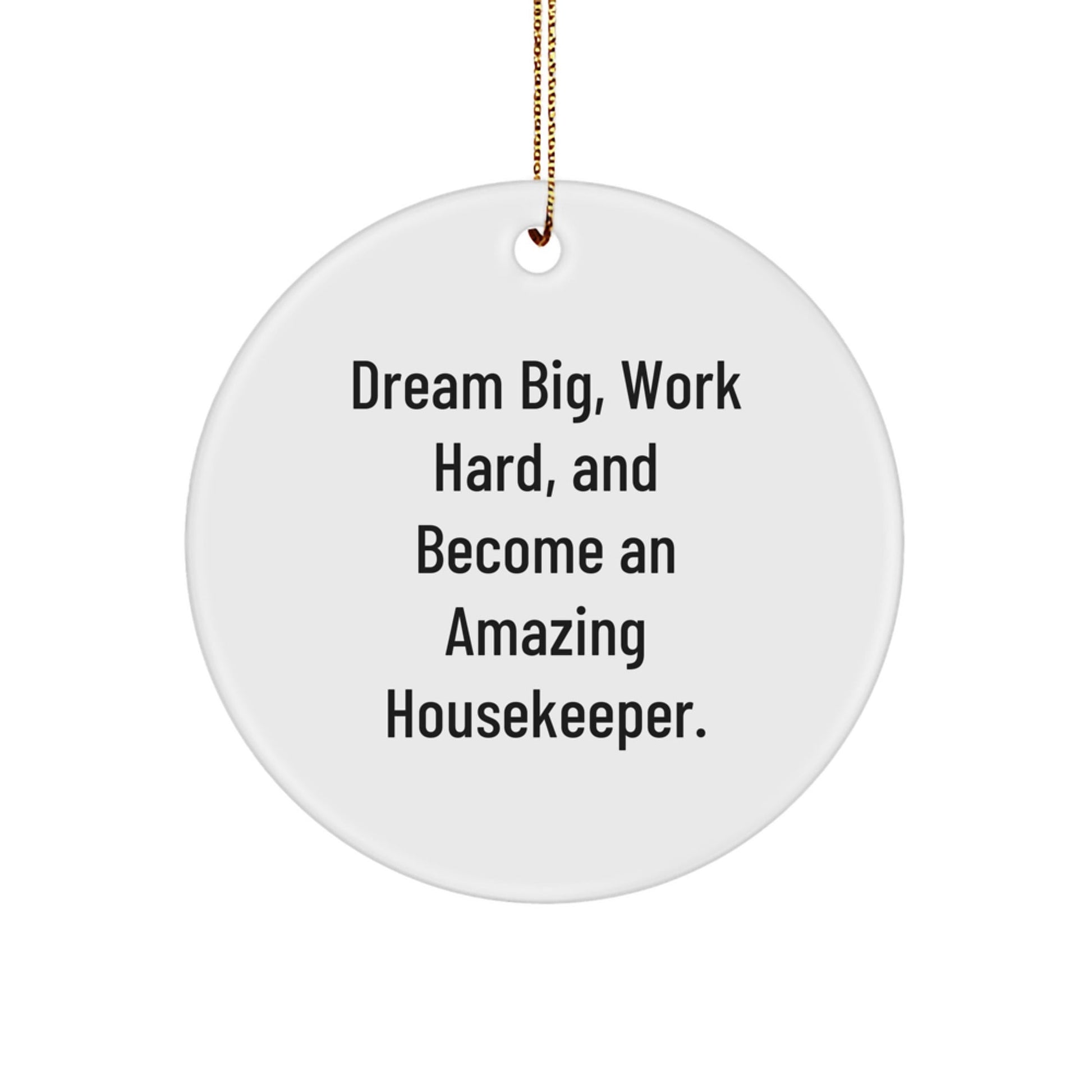 Inspirational Housekeeper Gifts from Friends and Family - Christmas Unique Circle Ornament - Dream Big, Work Hard, Amazing - The Buy Boom