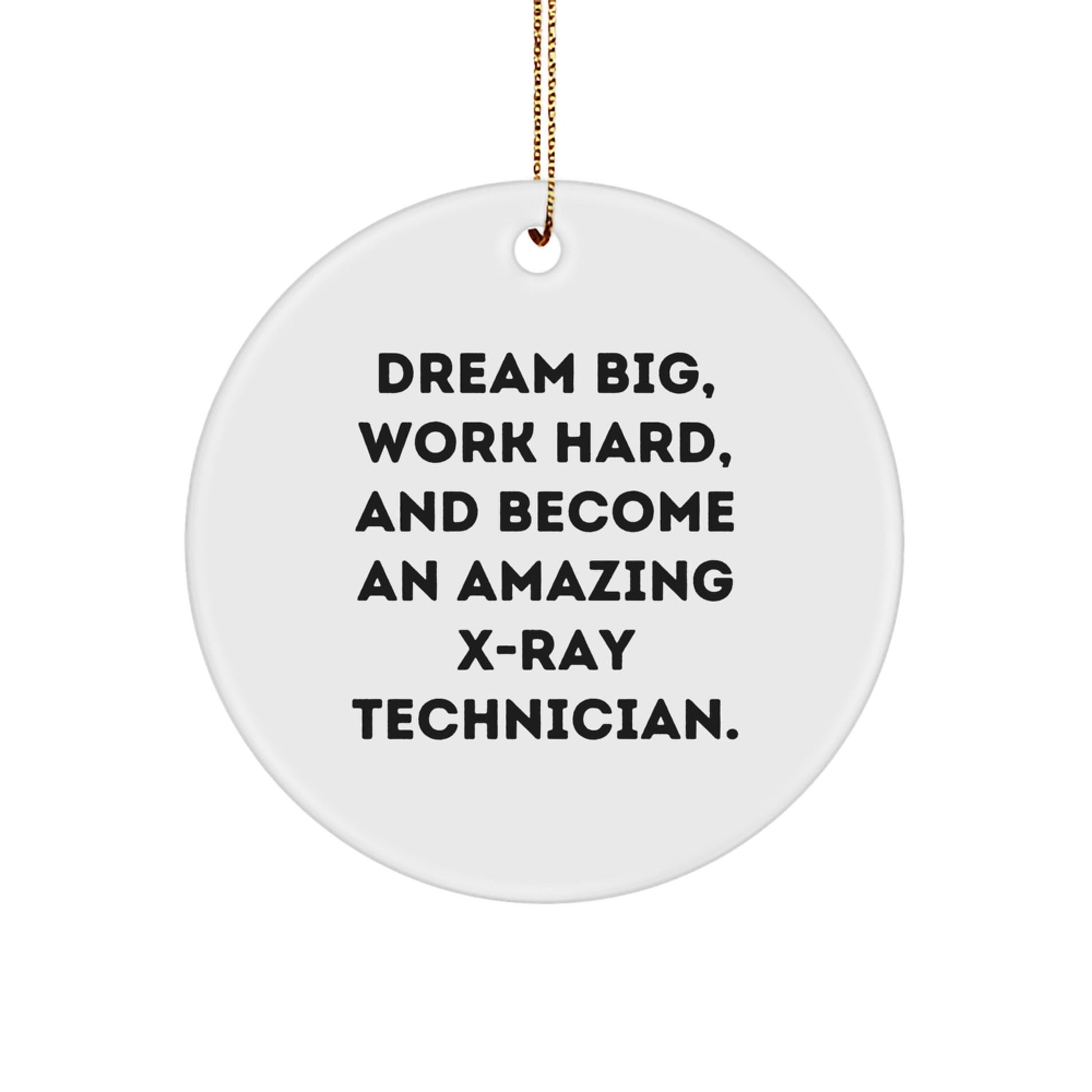 Inspirational X - Ray Technician Gifts from Friends, Family, or Coworkers: 'Dream Big, Work Hard' Circle Ornament for X - Ray Technician Christmas Unique - The Buy Boom