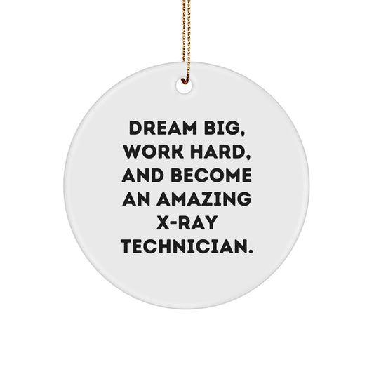 Inspirational X - Ray Technician Gifts from Friends, Family, or Coworkers: 'Dream Big, Work Hard' Circle Ornament for X - Ray Technician Christmas Unique - The Buy Boom