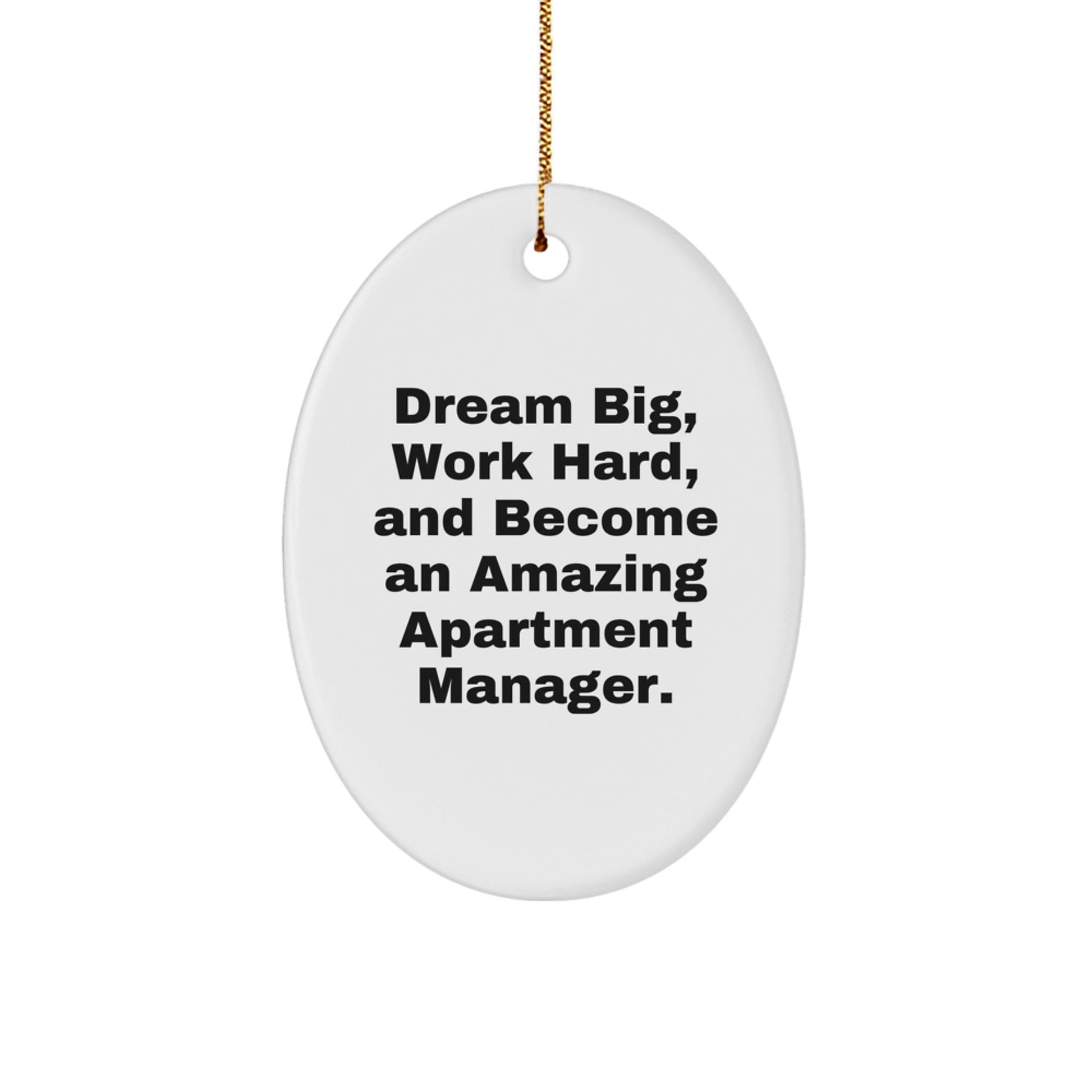 Inspiring Apartment Manager Gifts for Men or Women, Oval Ornament, Dream Big, Work Hard, Christmas Unique Present - The Buy Boom