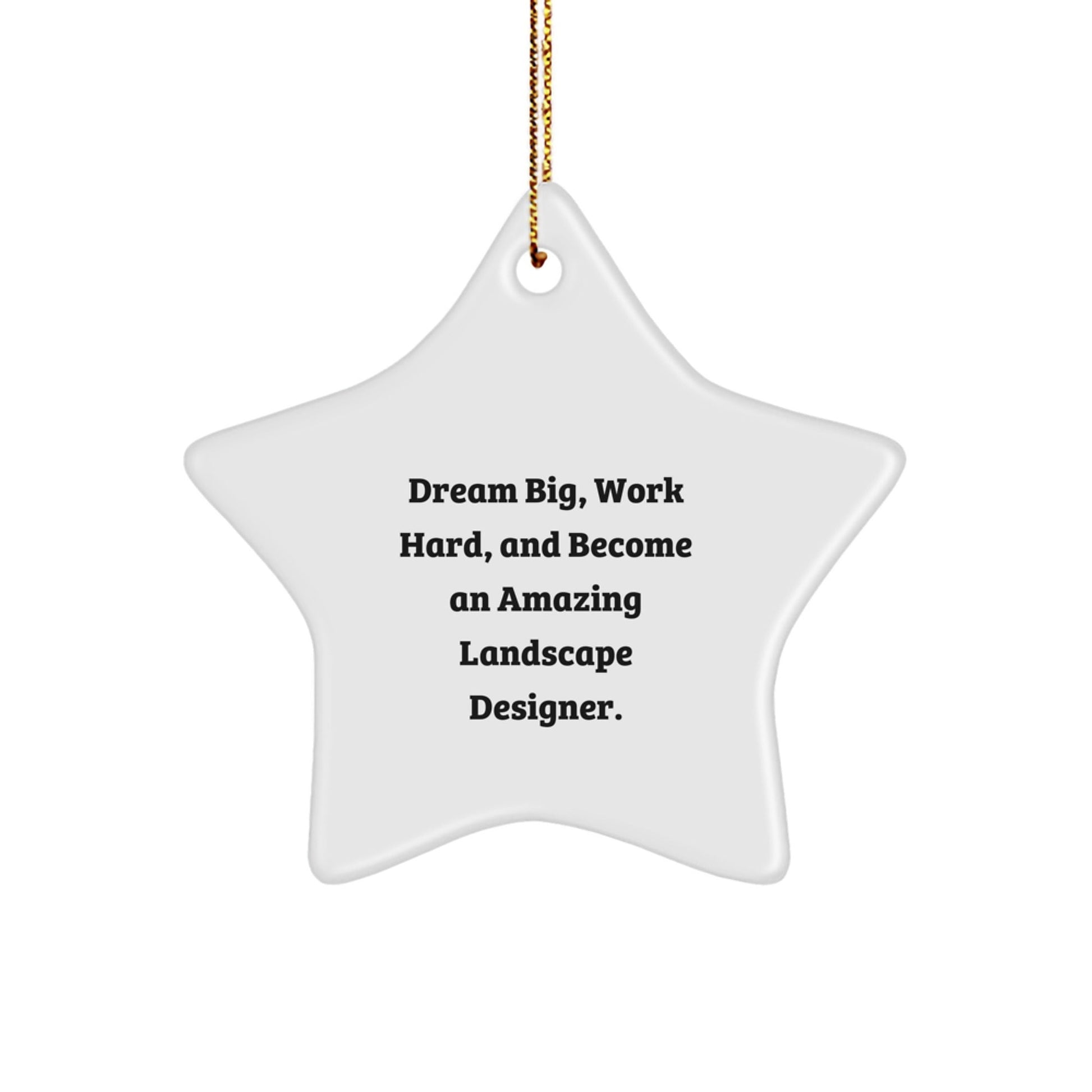 Inspiring Landscape Designer Christmas Star Ornament Gifts from Friends and Family with Funny Motivational Quote Work Hard Dream Big - The Buy Boom