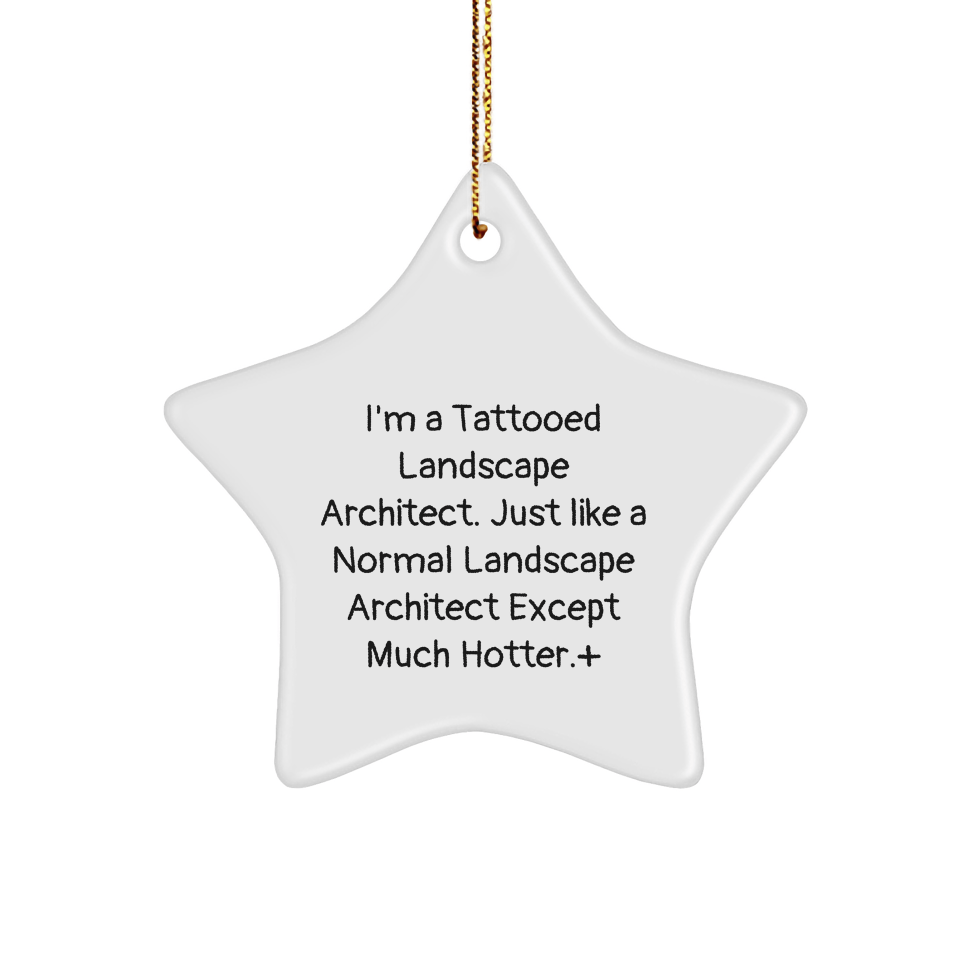 Landscape Architect Christmas Gift – Unique Star Ornament - The Buy Boom