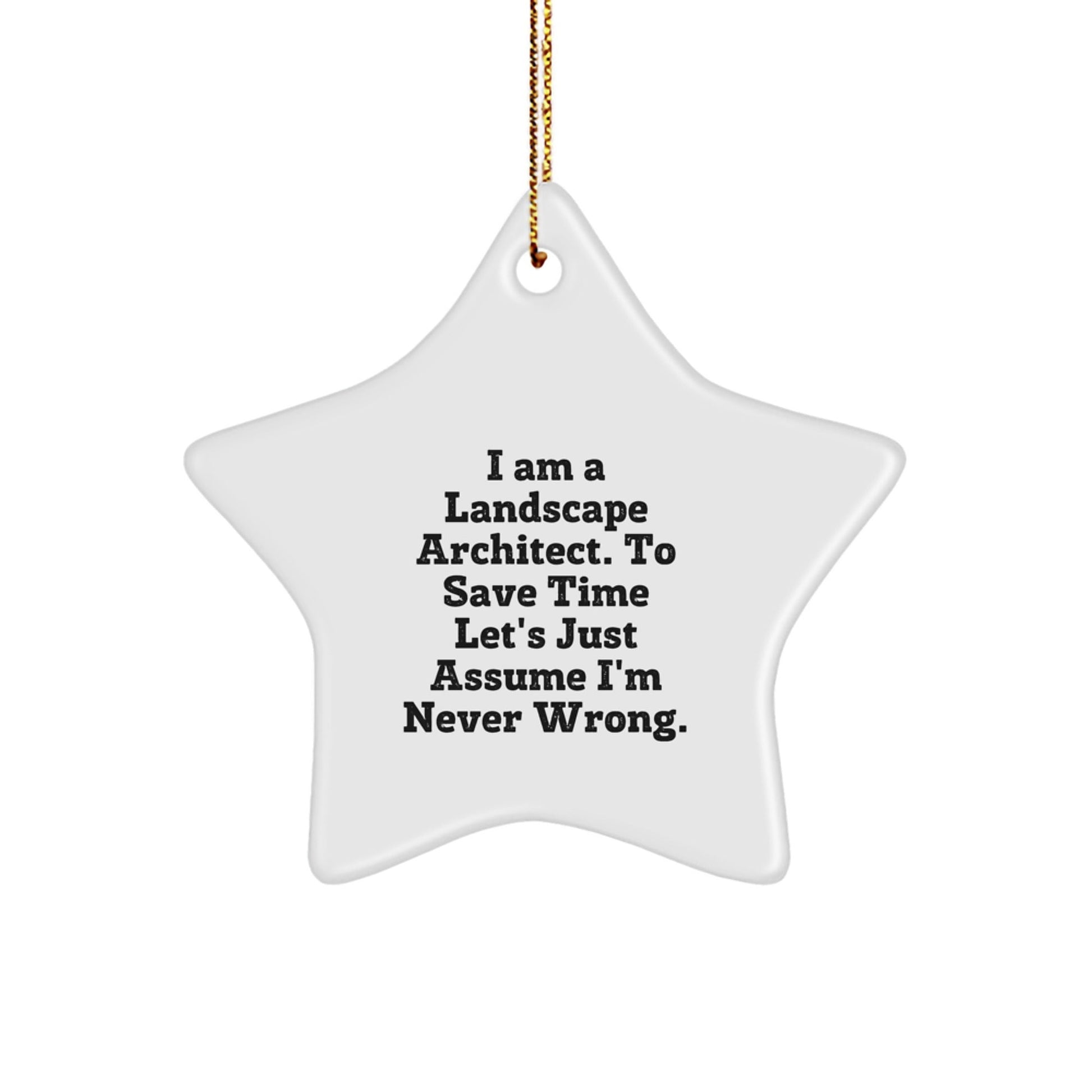 Landscape Architect Gifts from Friends - Funny Star Ornament, 'I Am A Landscape Architect. To Save Time Let's Just Assume I'm Never Wrong.' - Christmas Unique Presents for him her family - The Buy Boom