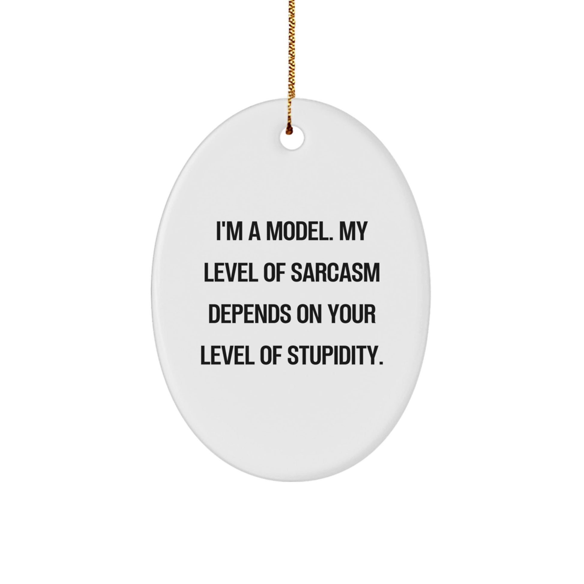 Model Humor Gifts from Friends, Oval Ornament with Funny Quote for Christmas, Ideal Gifts for Models, Women, or Men - The Buy Boom