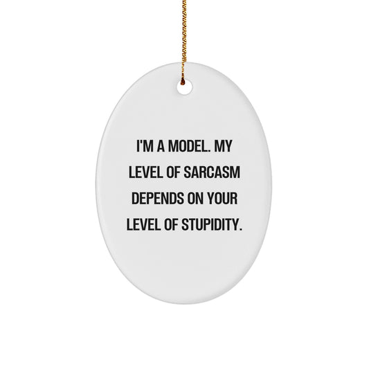 Model Humor Gifts from Friends, Oval Ornament with Funny Quote for Christmas, Ideal Gifts for Models, Women, or Men - The Buy Boom