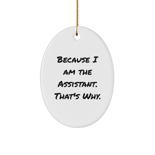 Funny Assistant Oval Ornament Gifts from Friends for Christmas Unique Decorations Because I Am The Assistant. That's Why. - Image 1