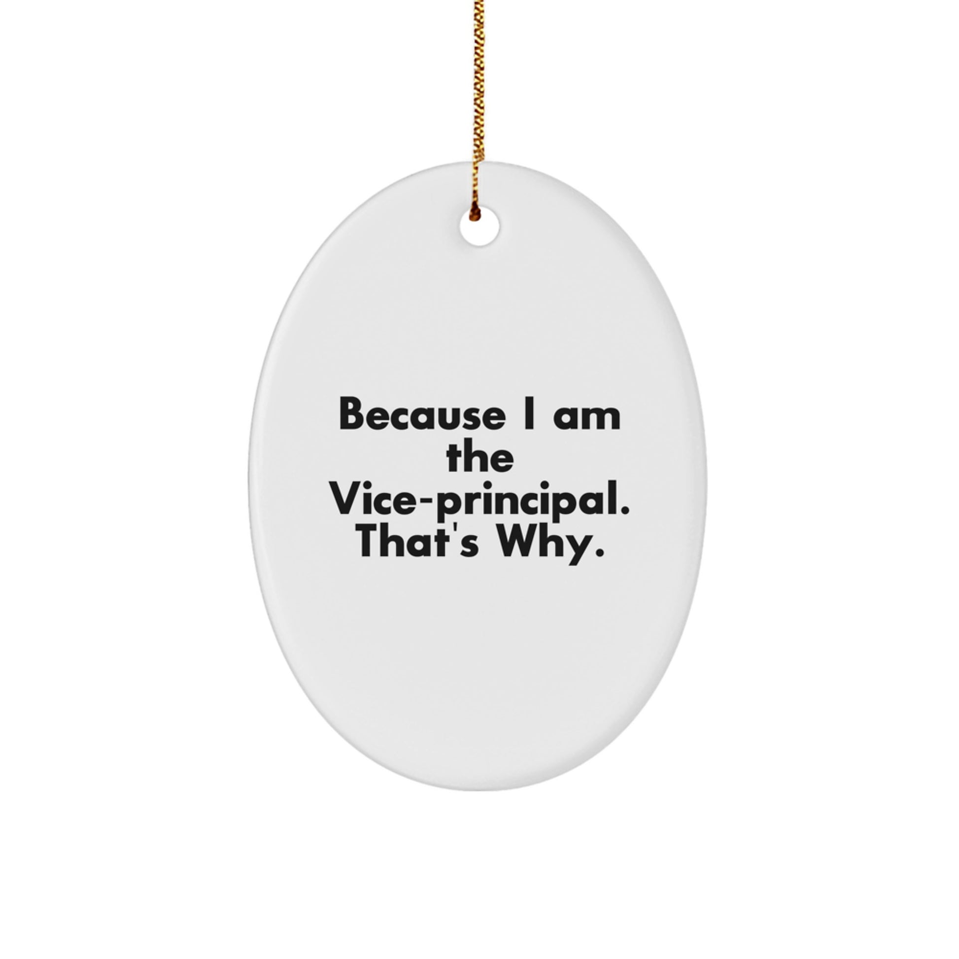 Funny Vice-principal Oval Ornament Gifts from Friends, Gifts for Vice-principal Men, Vice-principal Unique Christmas Unique Gifts - Image 1