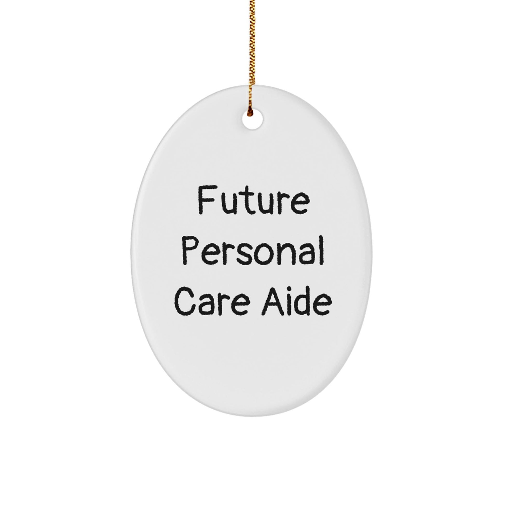 Personal Care Aide Gifts, Funny Quote Oval Ornament, Gifts from Friends for Personal Care Aide, Durable MDF with High - Gloss Finish, Christmas Unique Gifts - The Buy Boom