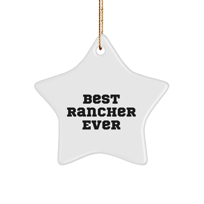 Rancher Star Ornament – Funny Christmas Gift Decoration - The Buy Boom