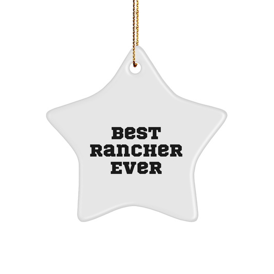 Rancher Star Ornament – Funny Christmas Gift Decoration - The Buy Boom