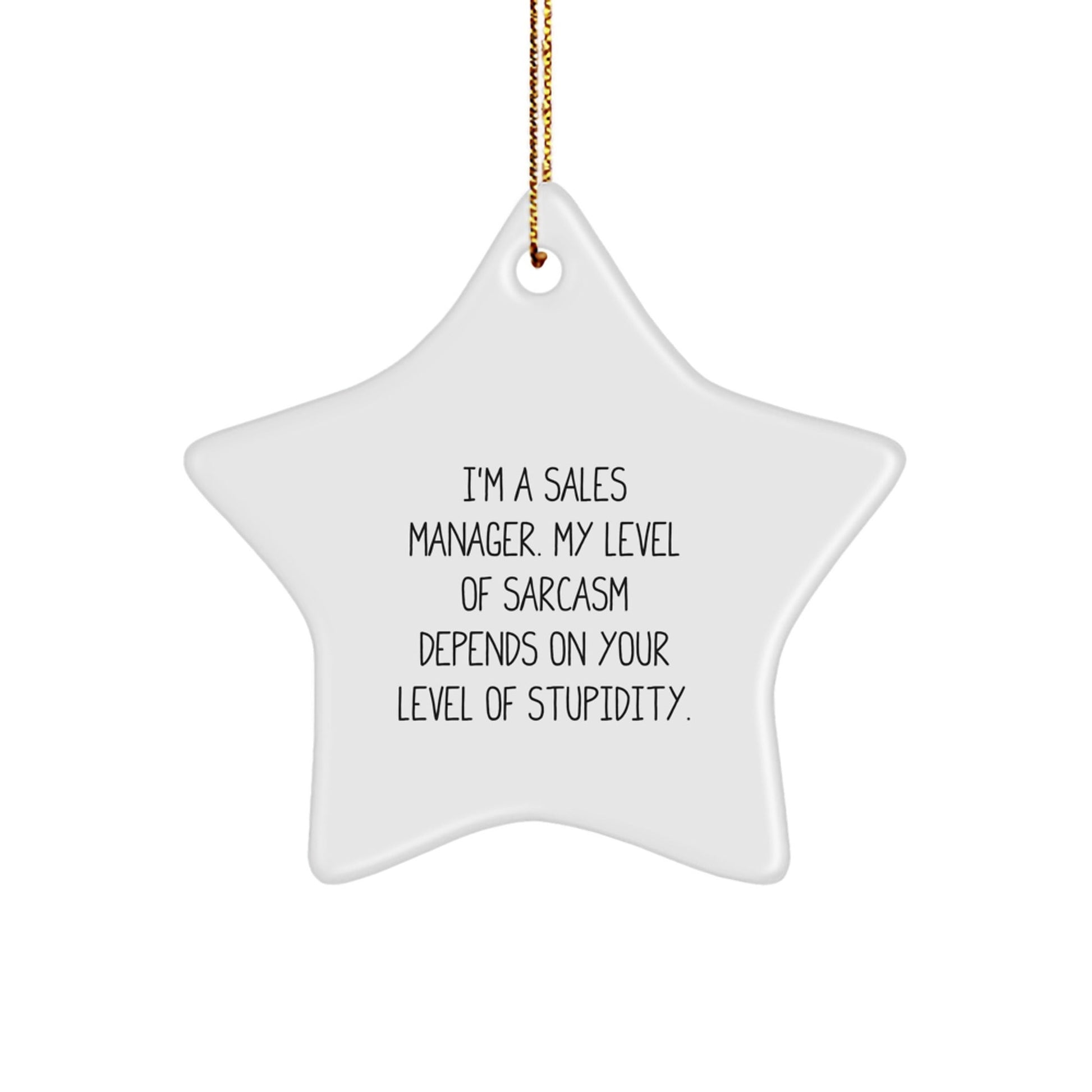 Sales Manager Gifts - Funny Star Ornament, I'm a Sales Manager, My Level of Sarcasm Depends on Your Level of Stupidity, Christmas Unique Gifts from Friends for Sales Manager - The Buy Boom