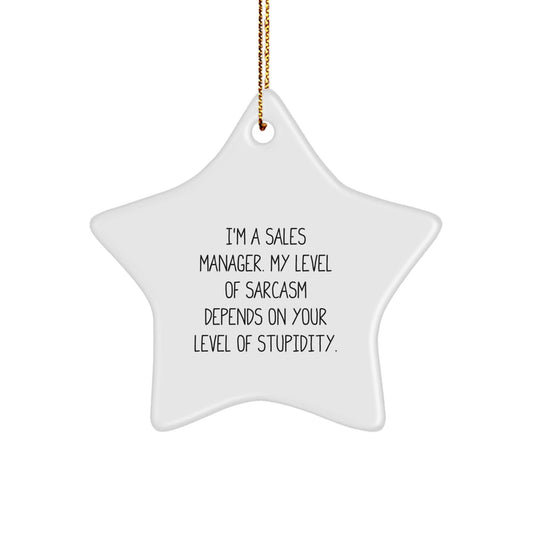 Sales Manager Gifts - Funny Star Ornament, I'm a Sales Manager, My Level of Sarcasm Depends on Your Level of Stupidity, Christmas Unique Gifts from Friends for Sales Manager - The Buy Boom