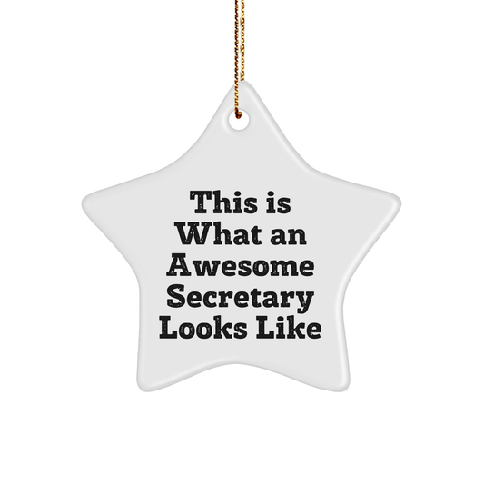 Secretary Gifts, Star Ornament, Funny Quote This Is What An Awesome Secretary Looks Like, Christmas Unique Presents from Friends, Coworkers, Family - Gifts for Secretary, Women, Men - The Buy Boom