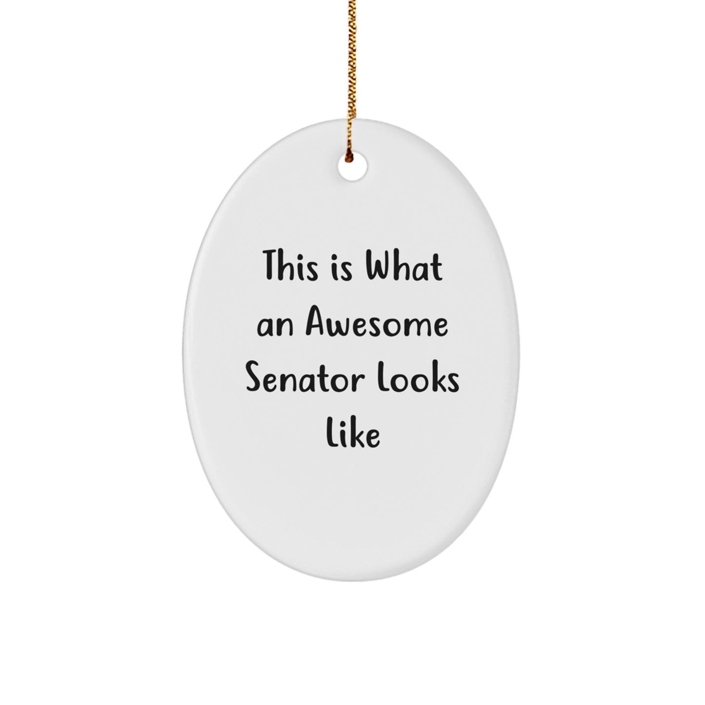 Senator Gifts from Friends, Funny Oval Ornament This Is What An Awesome Senator Looks Like, Christmas Unique Presents - The Buy Boom