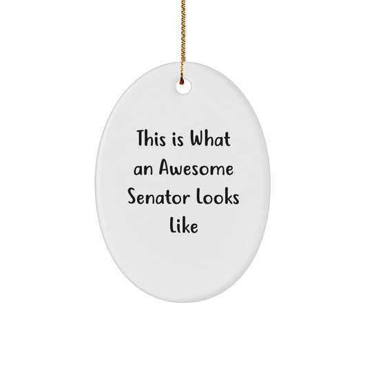 Senator Gifts from Friends, Funny Oval Ornament This Is What An Awesome Senator Looks Like, Christmas Unique Presents - The Buy Boom