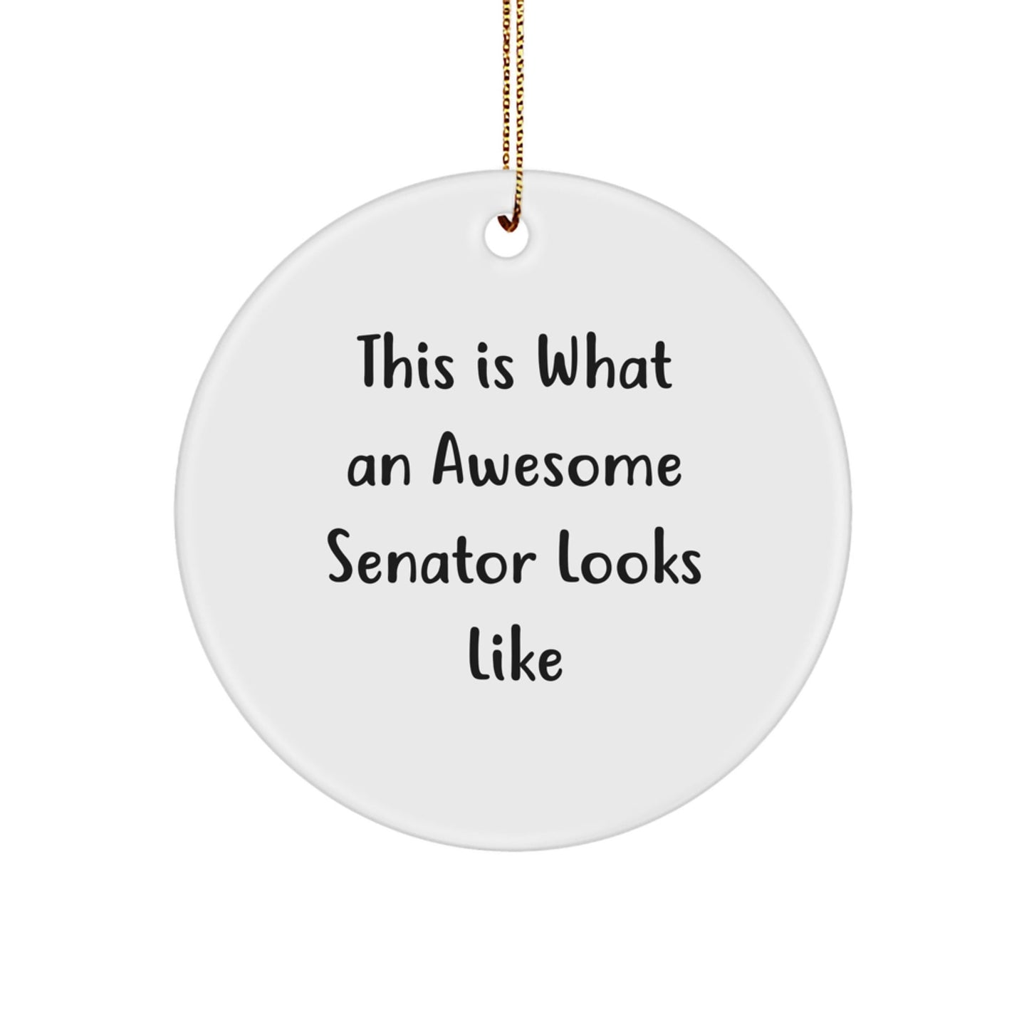Senator Gifts from Friends, This Is What An Awesome Senator Looks Like, Circle Ornament, Unique Christmas Unique Gifts for Senator, Men, or Women - The Buy Boom