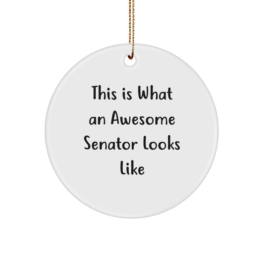 Senator Gifts from Friends, This Is What An Awesome Senator Looks Like, Circle Ornament, Unique Christmas Unique Gifts for Senator, Men, or Women - The Buy Boom