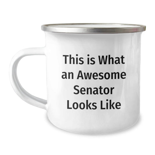 Senator Gifts, Funny Quote, Camping Mug for Graduation, Gifts from Family, Unique Senator Gift Ideas - The Buy Boom