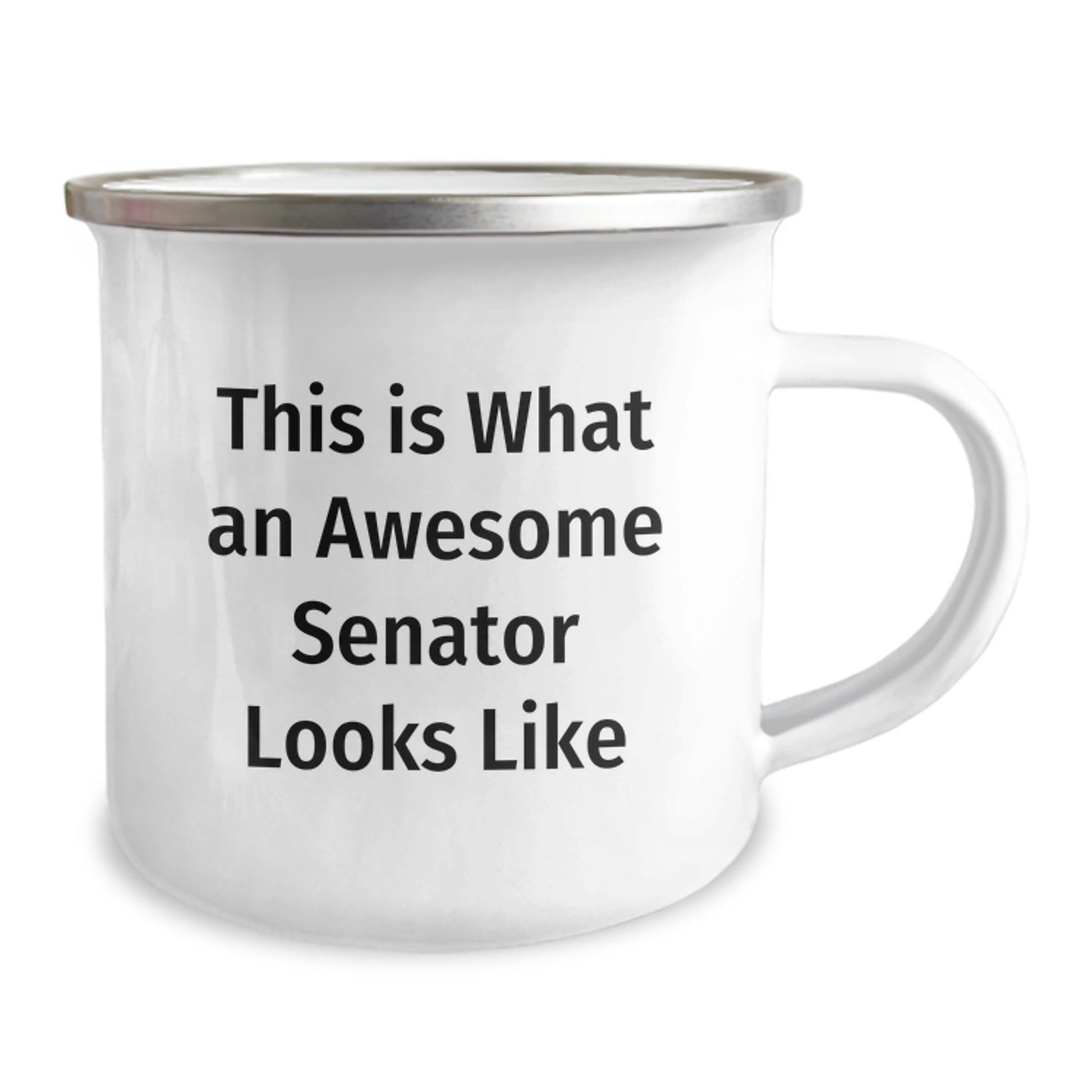 Senator Gifts, Funny Quote, Camping Mug for Graduation, Gifts from Family, Unique Senator Gift Ideas - The Buy Boom
