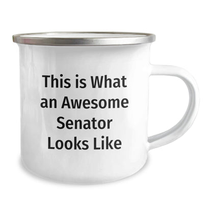 Senator Gifts, Funny Quote, Camping Mug for Graduation, Gifts from Family, Unique Senator Gift Ideas - The Buy Boom